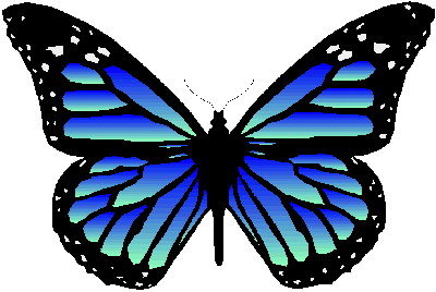 Butterfly Tattoo #87