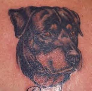 Dog Tattoo 11