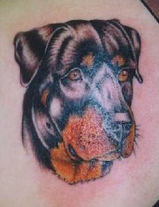 Dog Tattoo 14