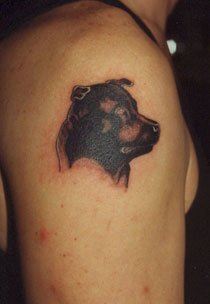 Dog Tattoo 15