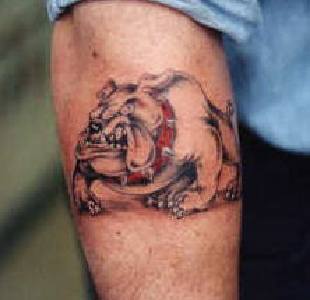 Dog Tattoo 16