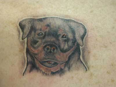 Dog Tattoo 19