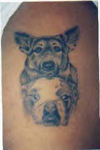 Dog Tattoo 27