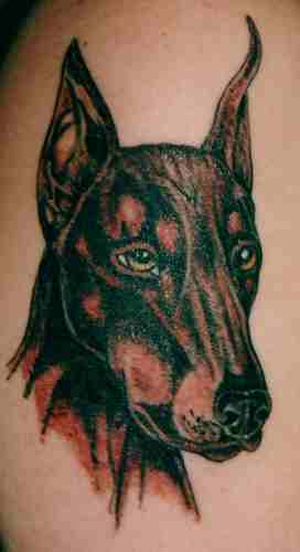Dog Tattoo 28
