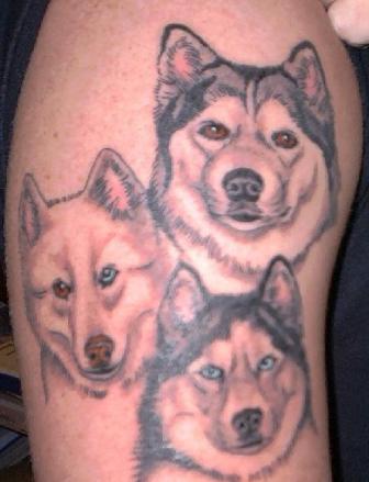 Dog tattoo