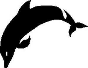Dolphin Tattoo #2