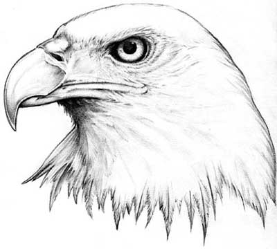 American Eagle Tattoo #7