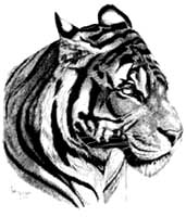 Tiger Tattoo #88