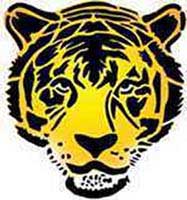 Tiger Tattoo #89