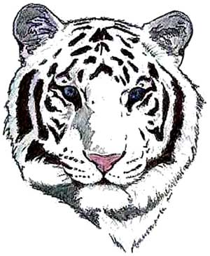 Tiger Tattoo #90
