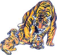 Tiger Tattoo #92