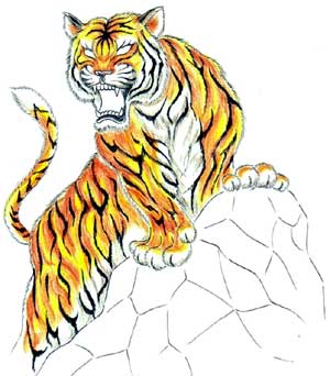 Tiger Tattoo #93