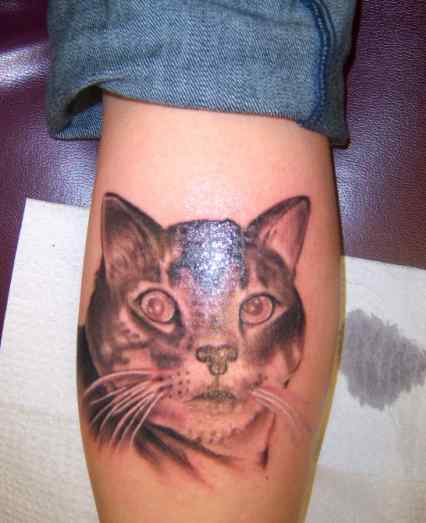 My Cat on Calf