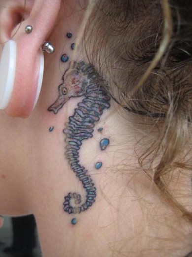 Seahorse Tattoo Behind Ear