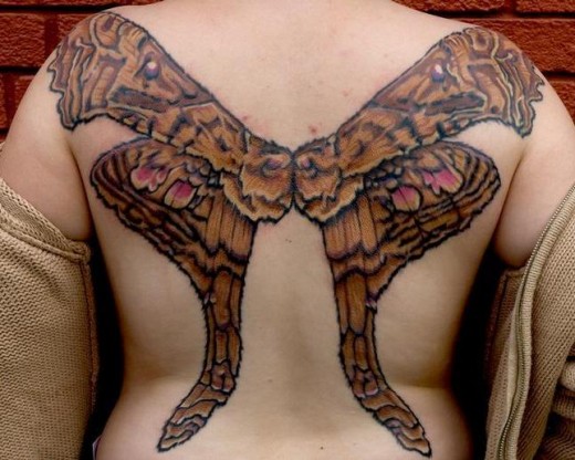 Butterfly Wings Tattoo On Whole Back