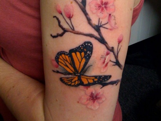cherry-blossoms-and-butterflies