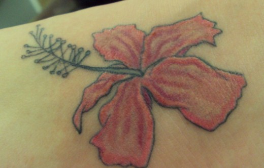 Hibiscus Flower Tattoo