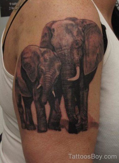 African Elephent Tattoo On Shoulder 