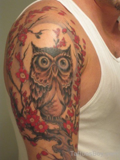 Colorful Owl Tattoo Design On Shoulder