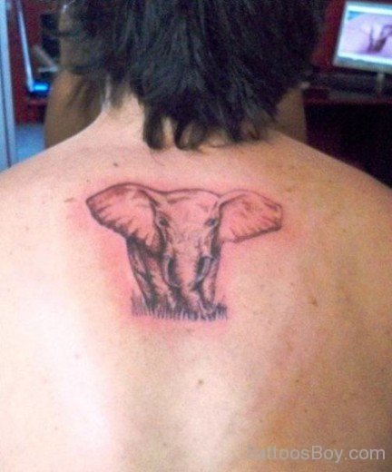 Elephant Tattoo On Back