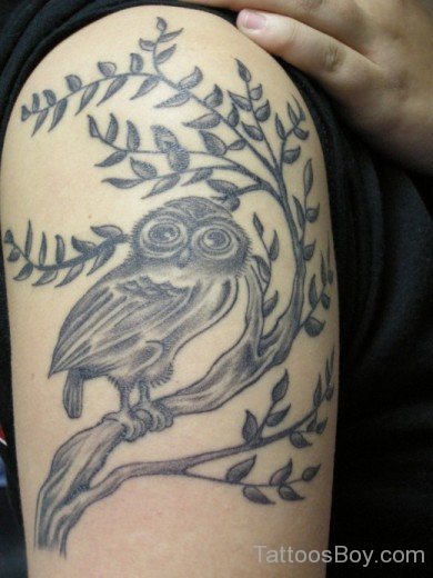 Beautiful Owl Tattoo On Shoulder