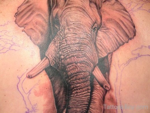 Pretty Cool African Elephant Tattoo