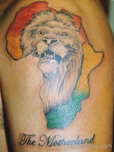 Best Lion Tattoo Design