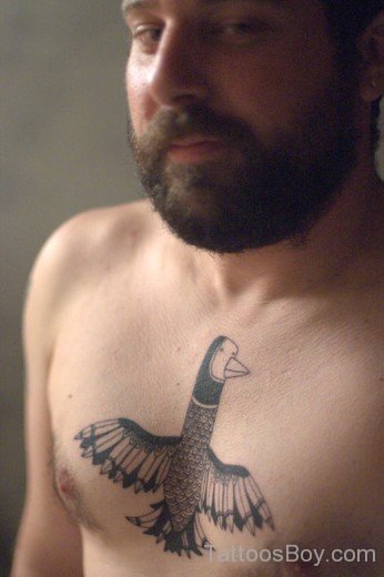 Birds Tattoo  On Chest