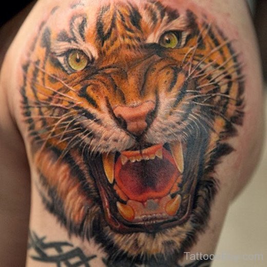 Amazing Tiger Tattoo On Shoulder