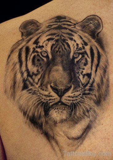 Attractive Tiger Tattoo On Back