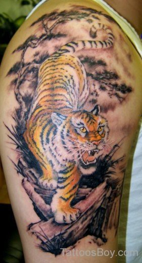 Fine Tiger Tattoo On Shoulder