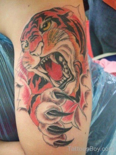 Red Tiger Tattoo On Shoulder