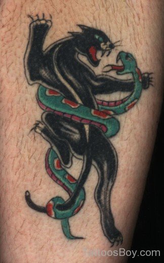Cat And Snake Tattoo