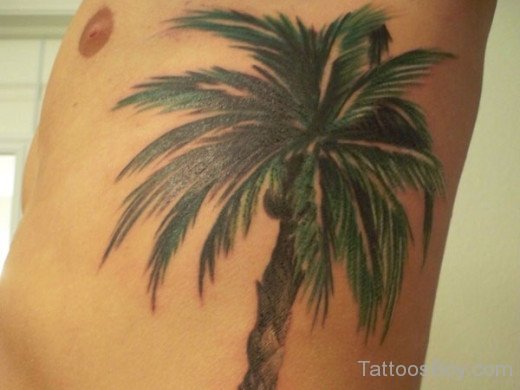 Palm Tree Tattoo On Rib