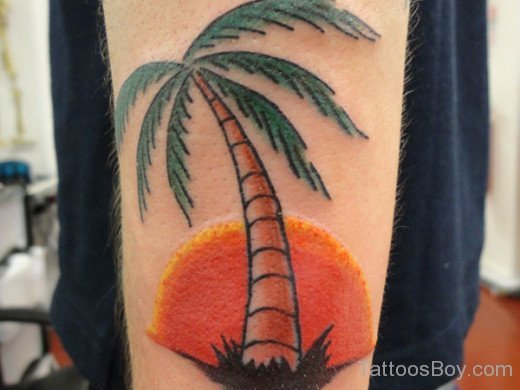 Palm Tree Tattoo Design On  Arm