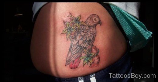 Parrot Tattoo On Stomach