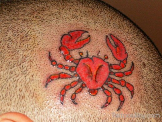 Scorpion Tattoo On Head