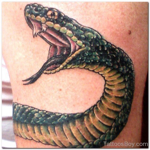 Snake Tattoo Design