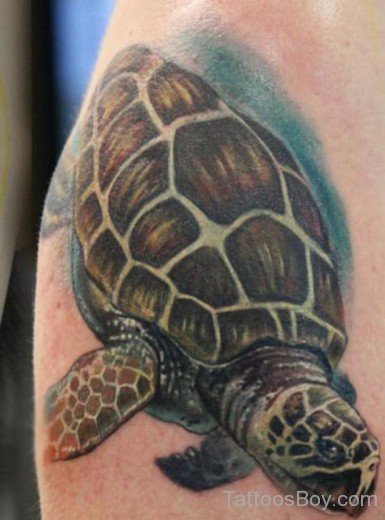 Turtle Tattoo