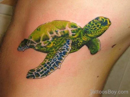 Awesome Turtle  Tattoo Design