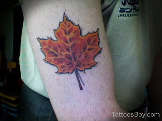 Canada Maple Leaf Tattoo On Bicep