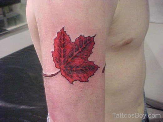 Canadian Leaf Tattoo Design