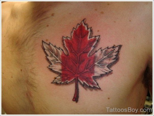Canadian Leaf Tattoo Design On Chest
