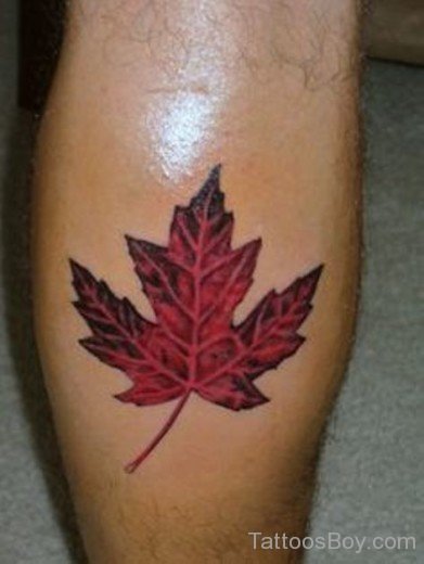 Canadian Leaf Tattoo On Leg