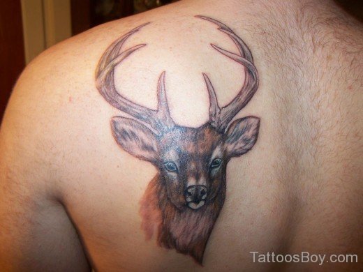 Deer Tattoo On Back