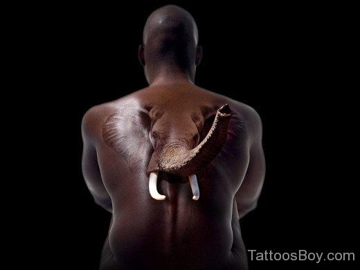 Elephant Tattoo Design On Back Body