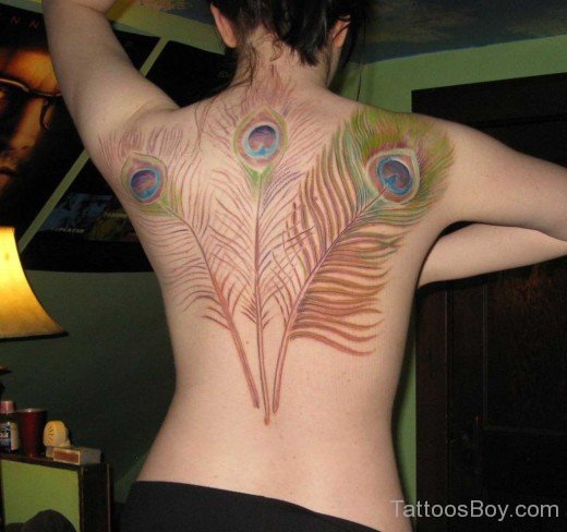 Peacock Feather Tattoo On Back