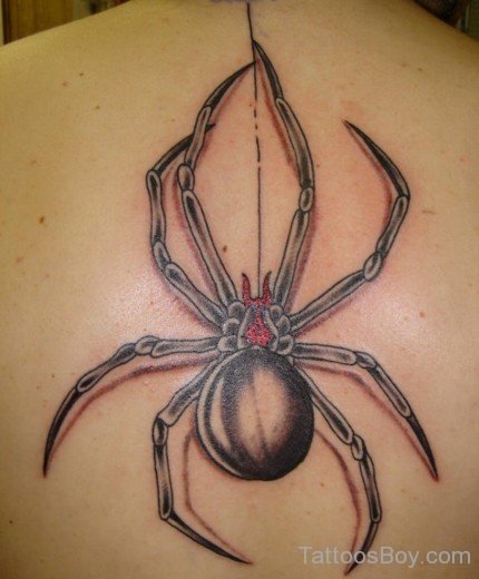 Spider Tattoo Design On Back