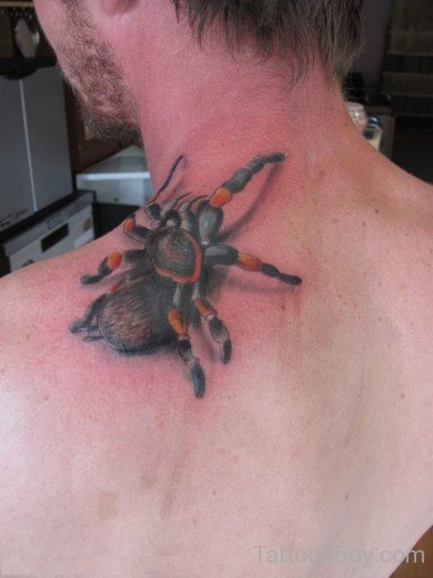 Spider Tattoo  
