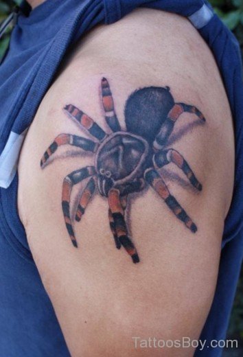 Spider Tattoo Design On Shoulder